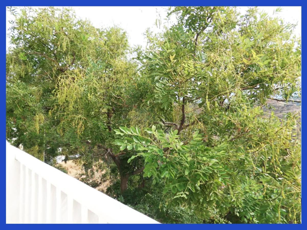 Kampos View Ikaria Apartment Evdhilos Bagian luar foto