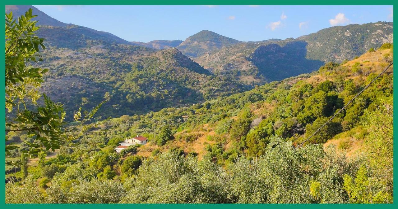 Kampos View Ikaria Apartment Evdhilos Bagian luar foto