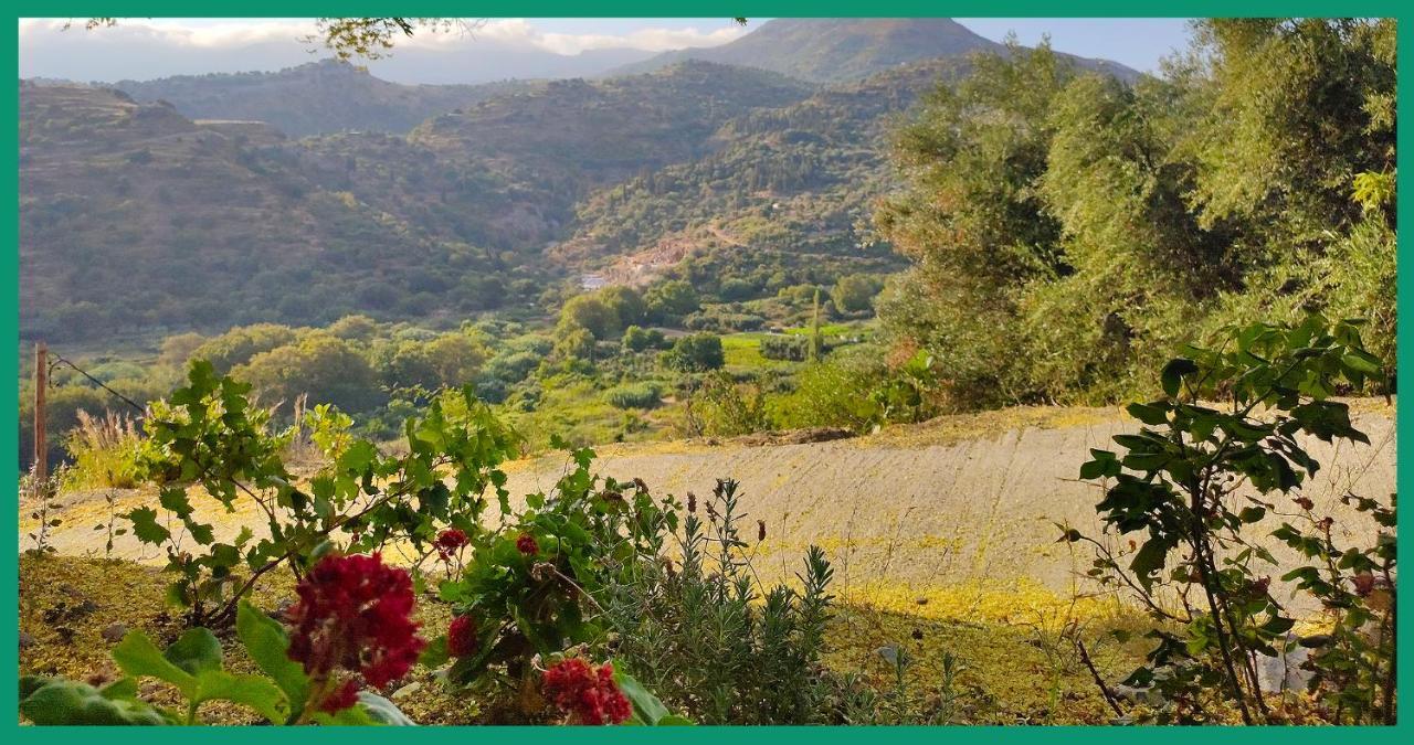 Kampos View Ikaria Apartment Evdhilos Bagian luar foto
